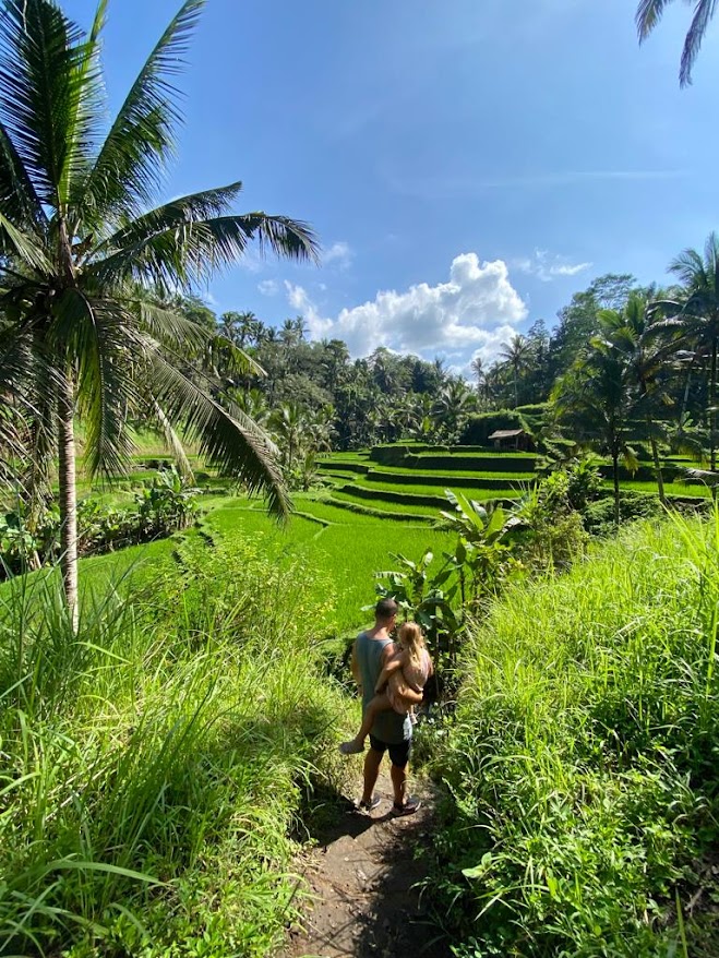 Indonesia Bali arrozales