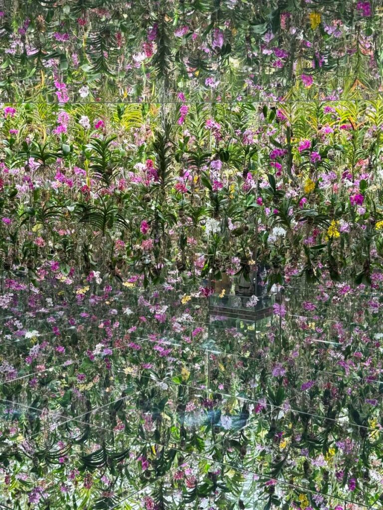 floating flower garden teamlab planets tokio