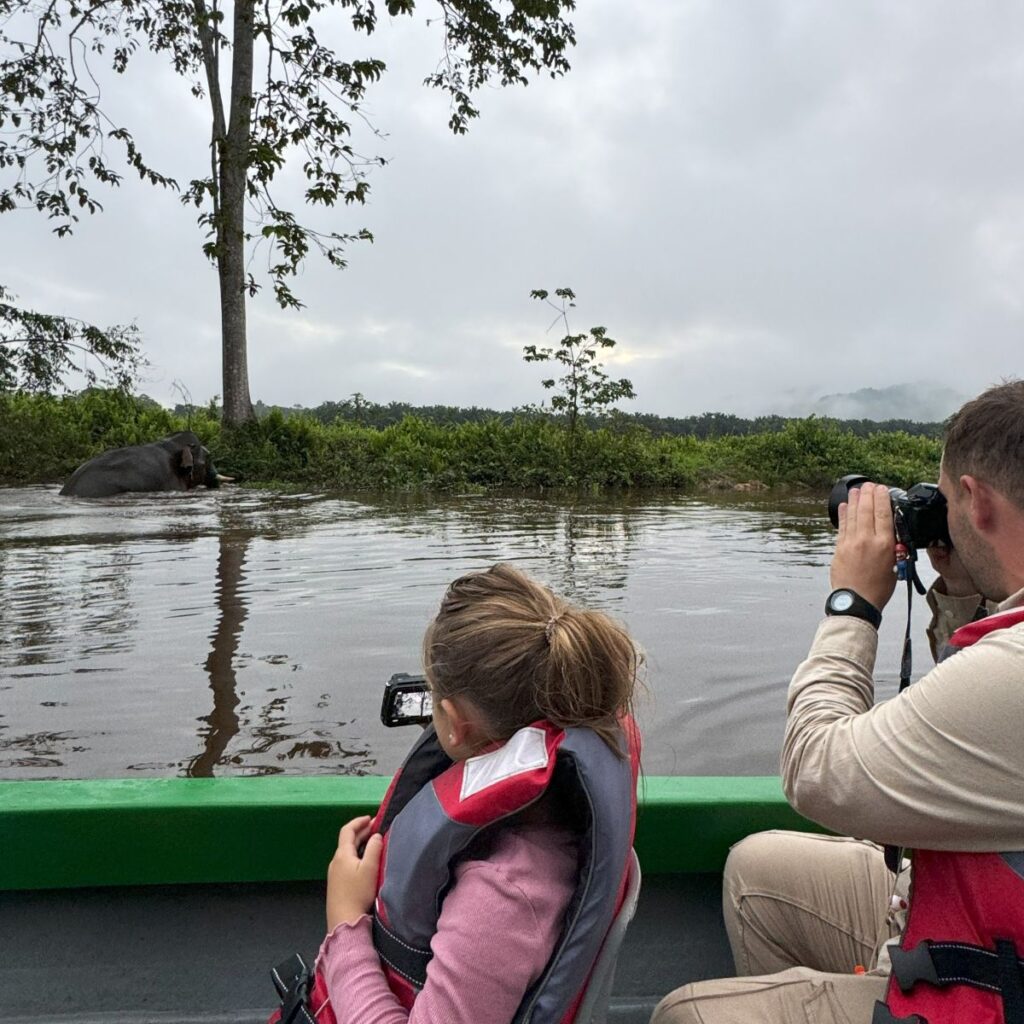 Rio Kinabatangan elefante