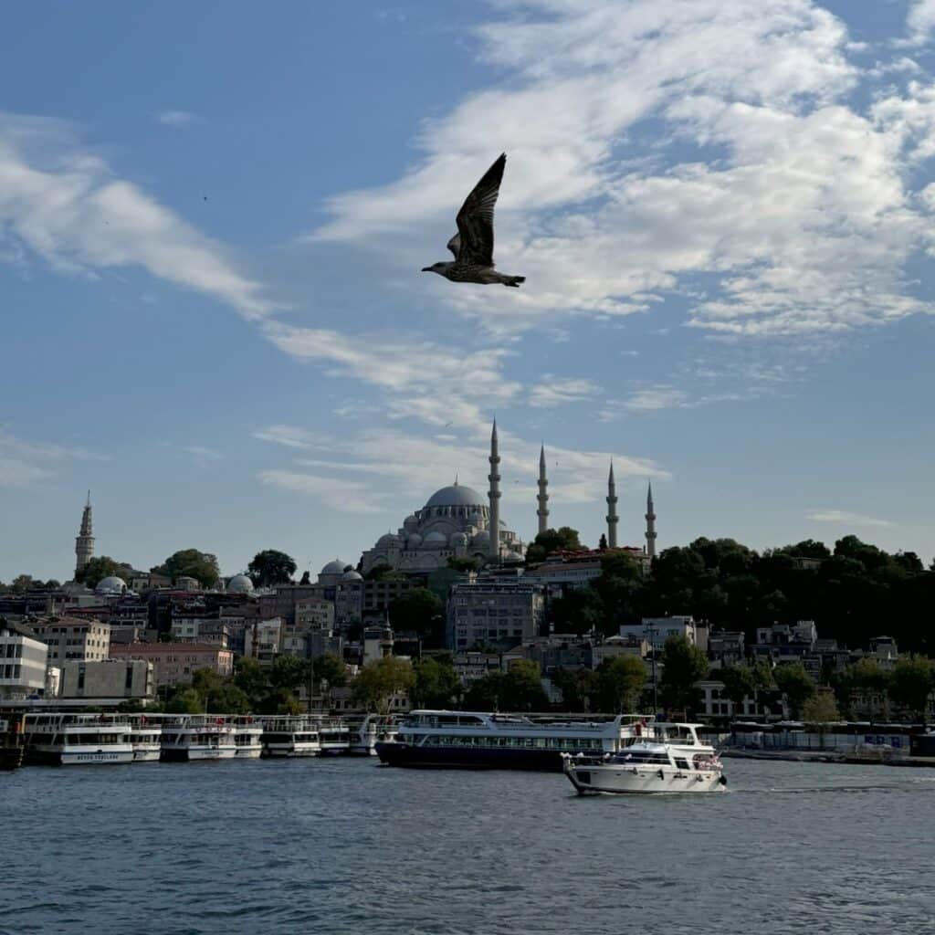 Estambul con niños
