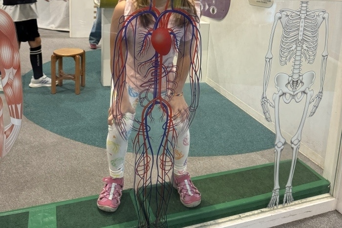 Niña con imagen de cuerpo humano arterias, venas dentro de la zona de ciencias de Kids Plaza Osaka Japon