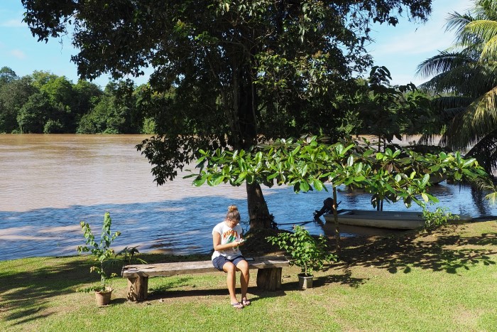 En la foto se ve a una persona sentada en un jardín del alojamiento en el río kinabatangan